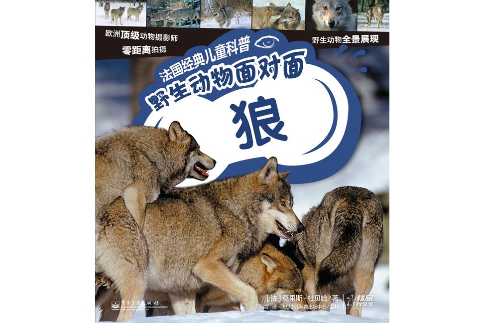 法國經典兒童科普：野生動物面對面（1-3冊）（全彩）