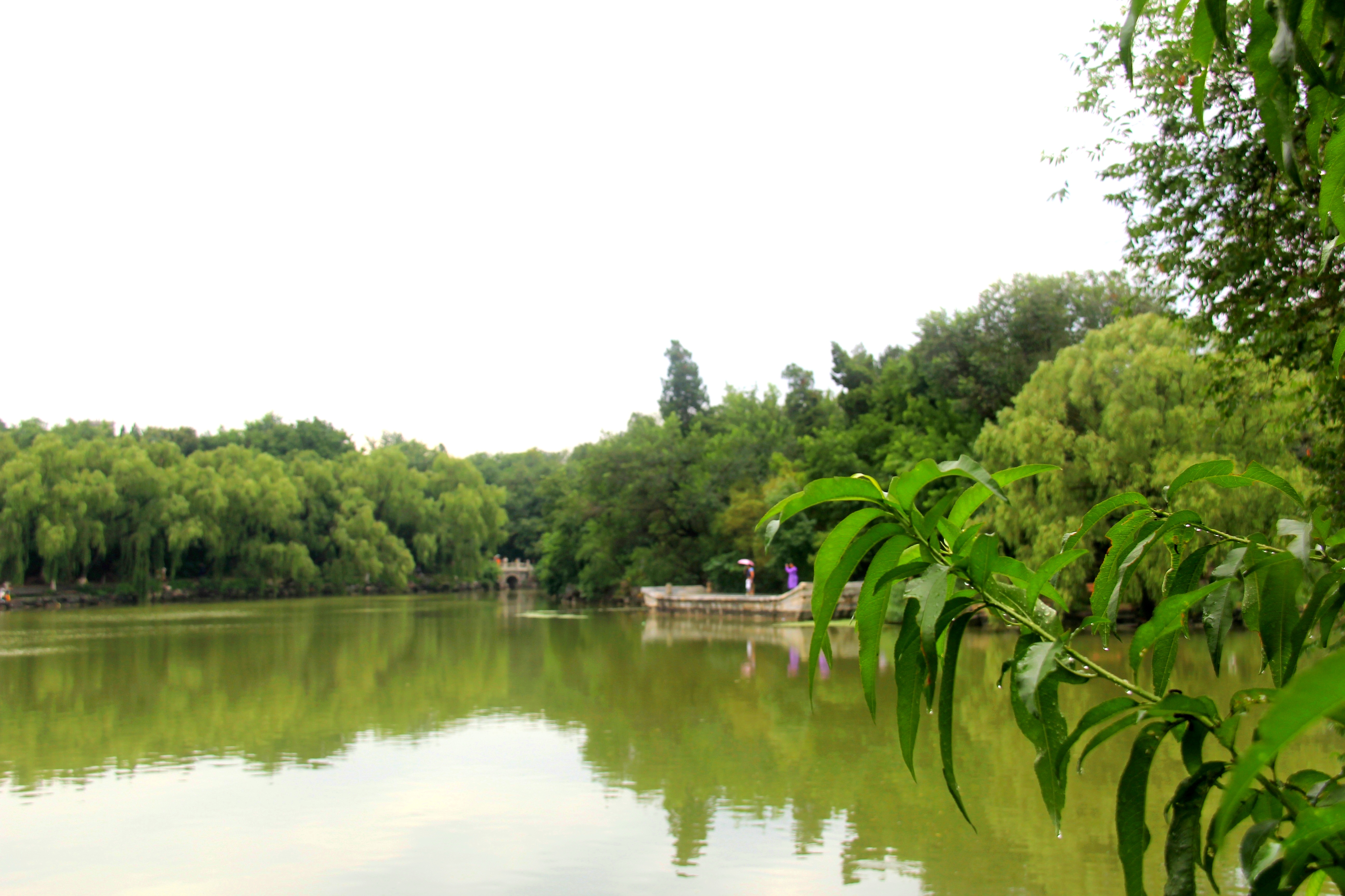 北京大學賦