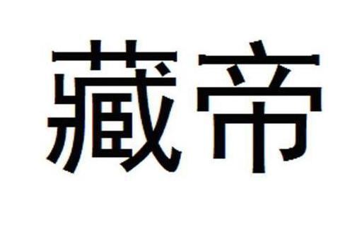 藏帝(網趣（北京）電子商務有限公司旗下品牌)