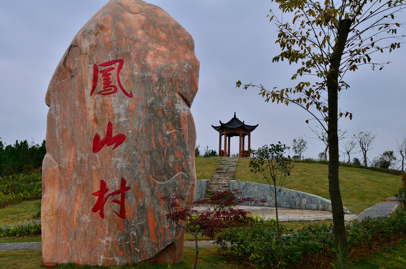 鳳山村(四川成都邛崍市寶林鎮鳳山村)