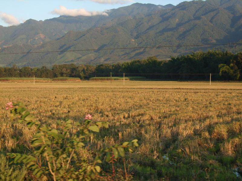 崍別自然村