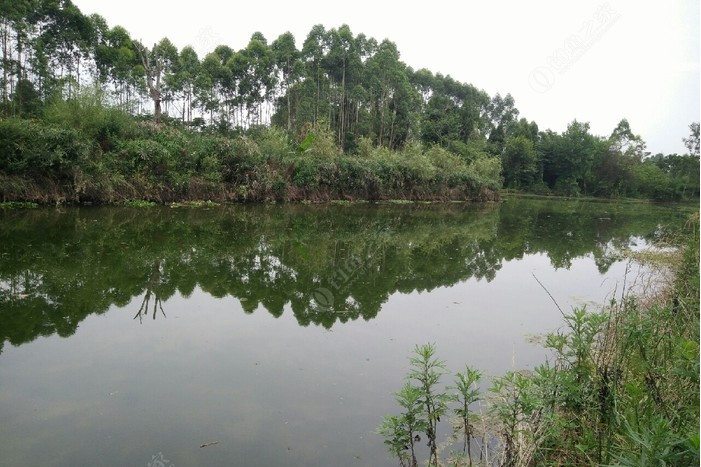 東響水河