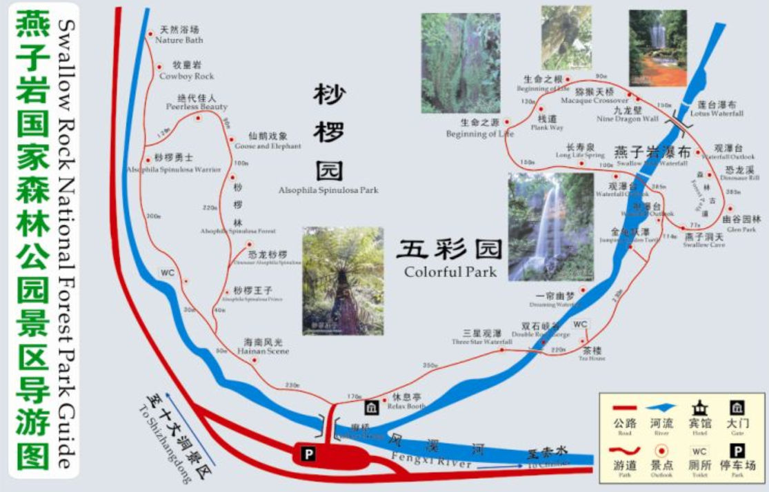 貴州燕子岩國家森林公園