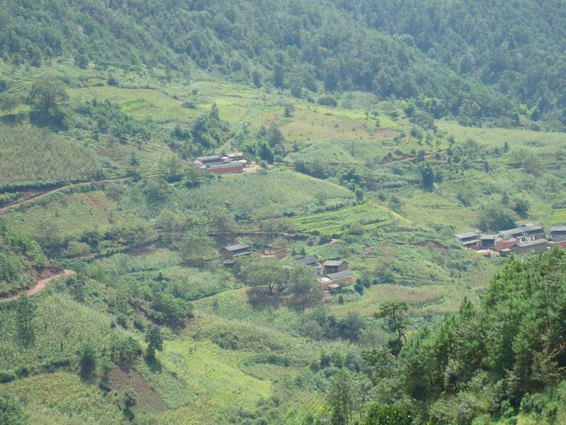 核桃林村(楚雄市中山鎮法魯古村委會)