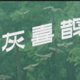 灰喜鵲(2008年徐真執導的科教影片)