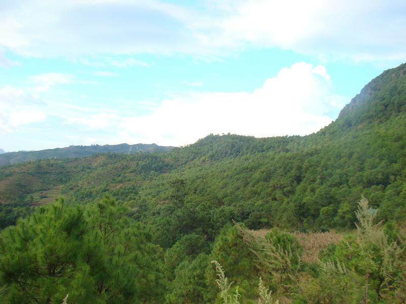 地理脈自然村生態山林