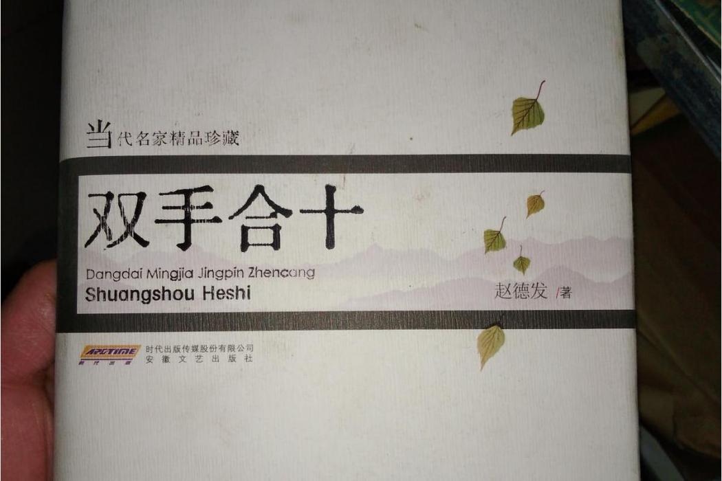 雙手合十(2008年江蘇文藝出版社出版的圖書)