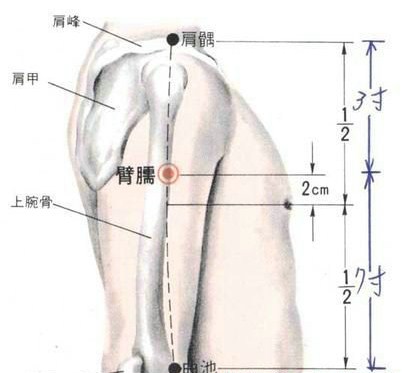 肩髃穴