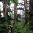 天目山商周遺址