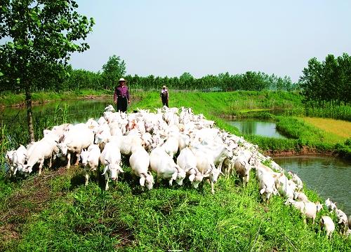 百子村(陝西旬邑縣原底鄉下轄村)