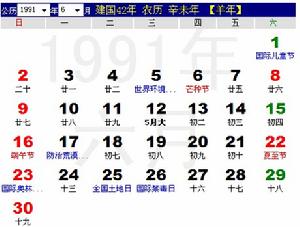 1991年6月5日