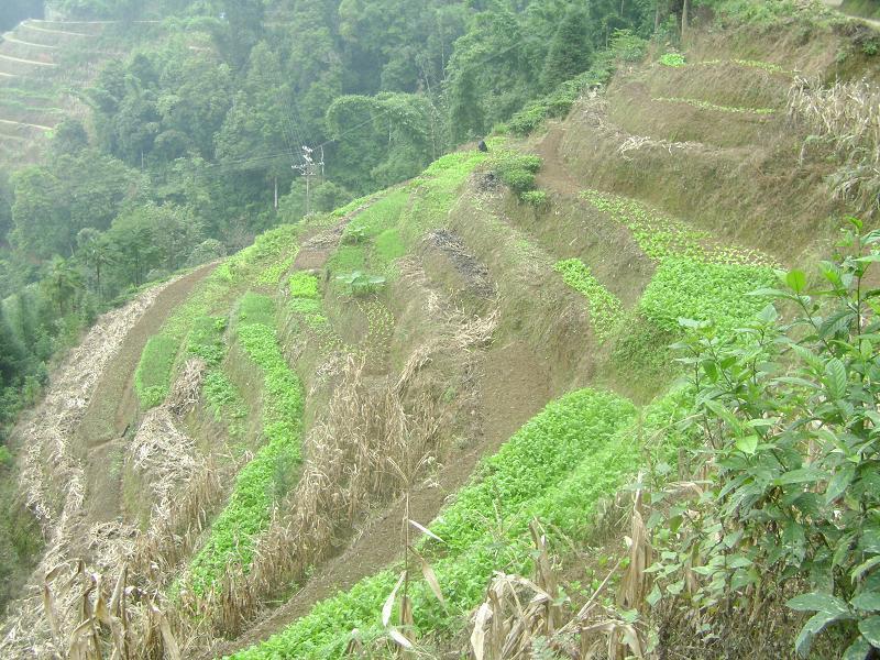 牛洞中寨村