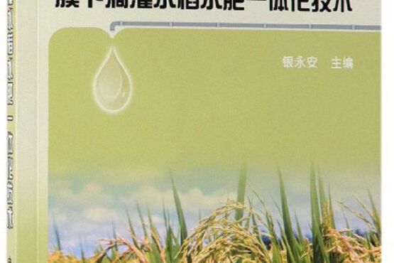 現代節水高產高效農業：膜下滴灌水稻水肥一體化技術