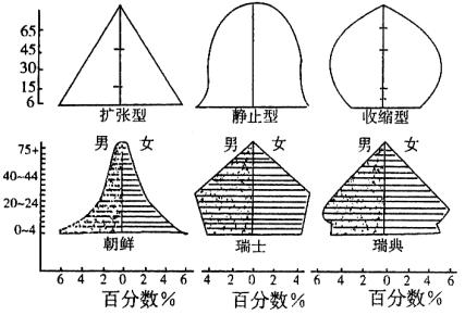 人口年齡結構