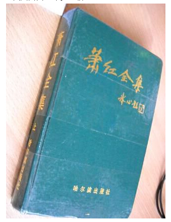 冰書挑戰