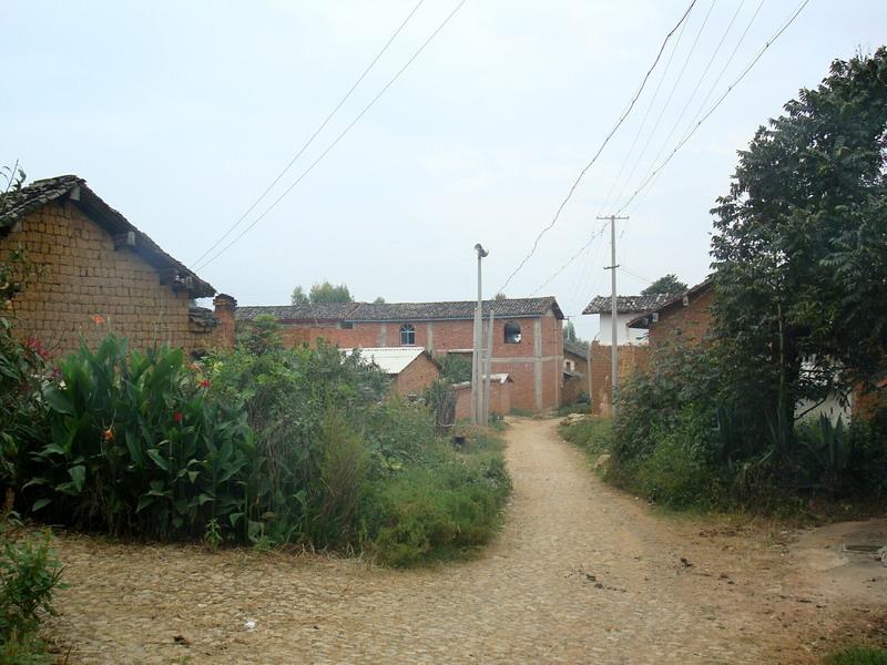 下莊村(雲南省保山市隆陽區辛街鄉下莊村)