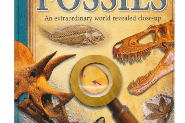 viewfinder: fossils