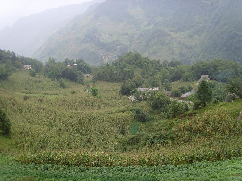 青槓樹自然村