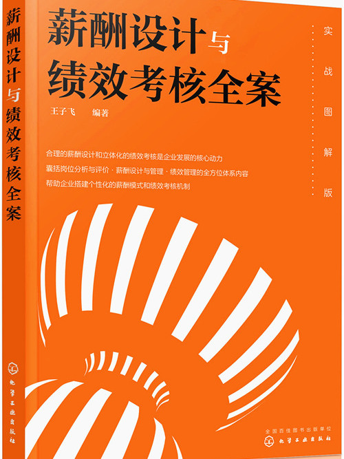 薪酬設計與績效考核全案——實戰圖解版