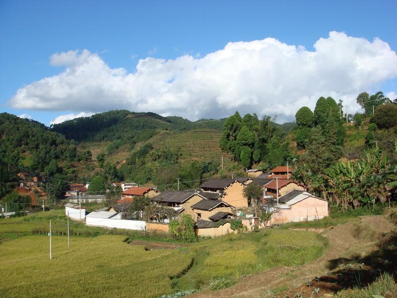 何家自然村(雲南雲縣茶房鄉下轄村)