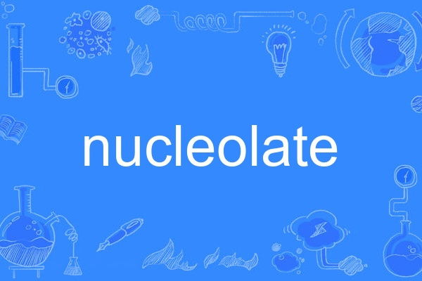 nucleolate