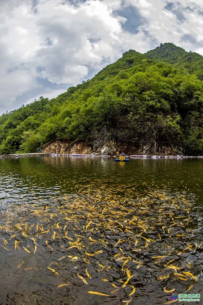 高山漁村