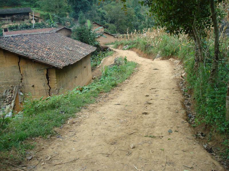 進村道路