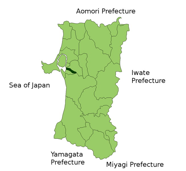 井川町