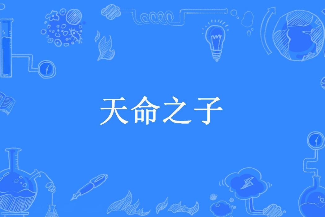 天命之子(沉淪創作的都市類網路小說)