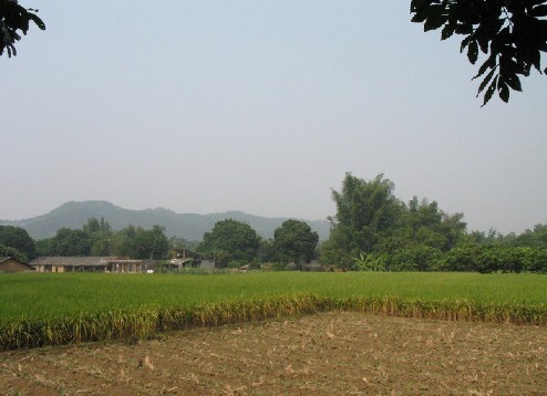 廖家村(湖南省郴州市桂陽縣歐陽海鎮下轄村)