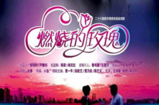 燃燒的玫瑰(4DVD)