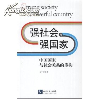 國家與社會(北京大學出版社2008年版圖書)