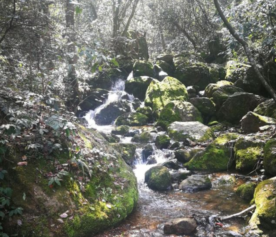 浙江義烏松瀑山省級森林公園