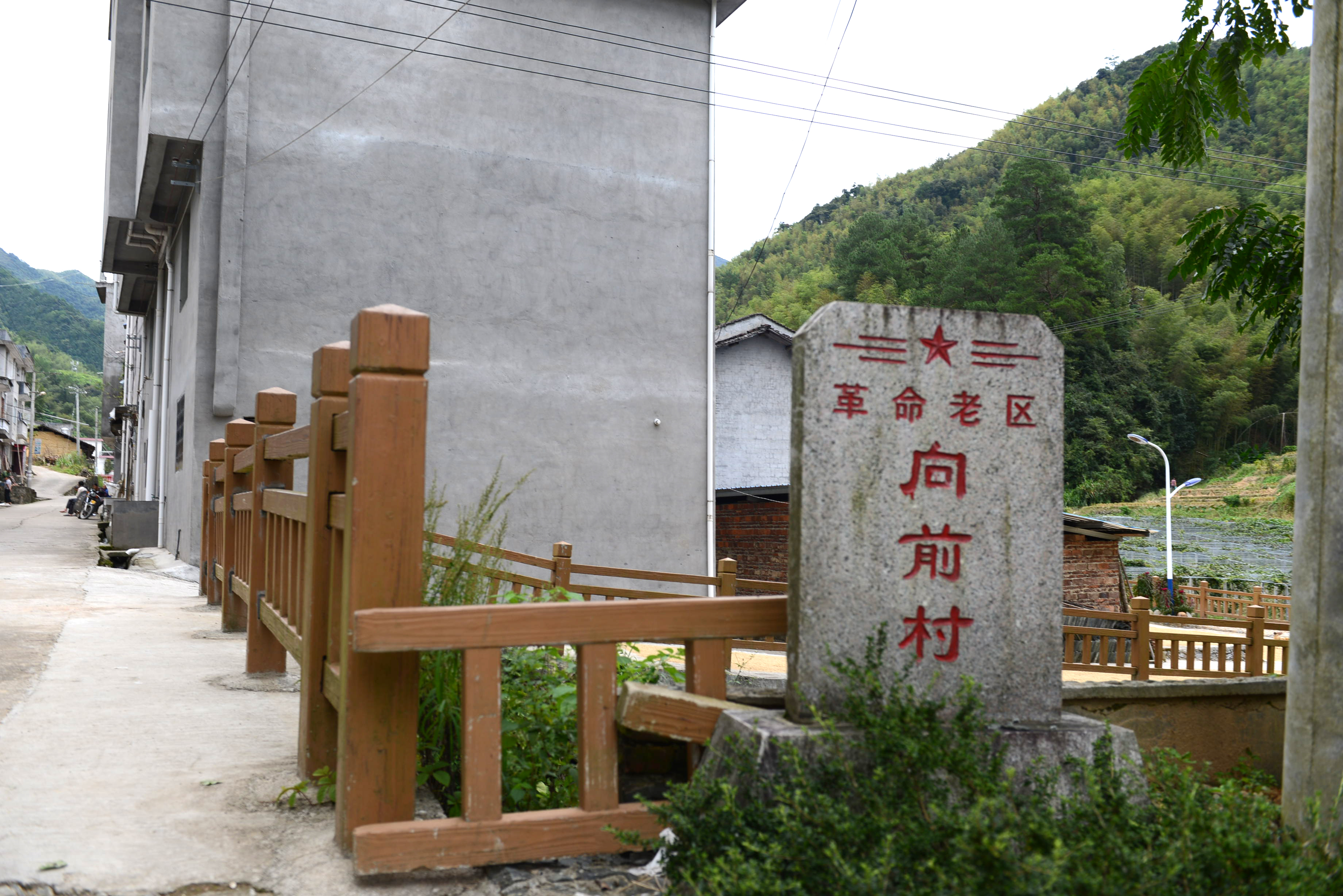 向前村(福建南平政和縣鐵山鎮向前村)