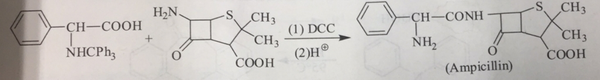 氨苄西林的合成