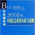 2004年：中國社會形勢分析與預測