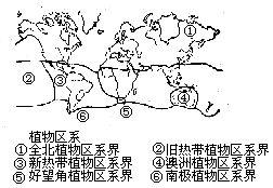 植物地理區系