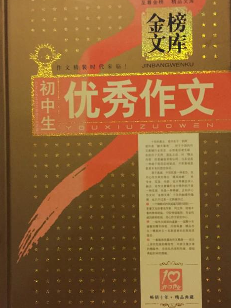 國中生優秀作文(2008年嶺南美術出版社出版的圖書)