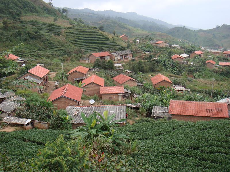 大荒壩自然村