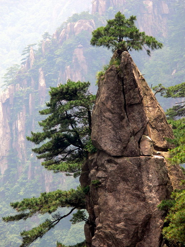 黃山“夢筆生花”