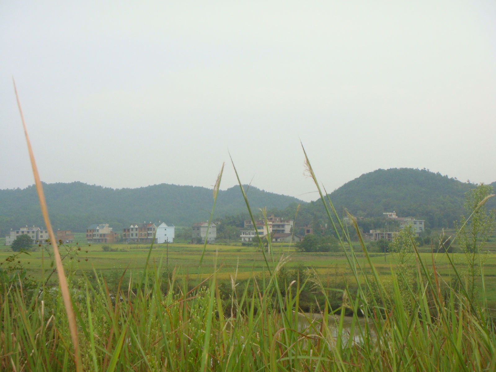 官倉邊村