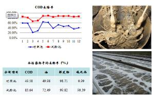 北京工道生物技術有限公司