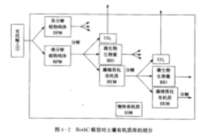 土壤有機質周轉模型