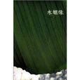 水姻緣(朱文穎著長篇小說)