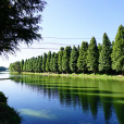 星海半島濕地公園