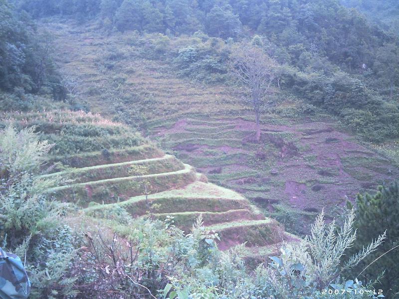 青木林自然村(雲南魚塘鄉景平村委會青木林自然村)