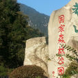 湖南莽山國家森林公園