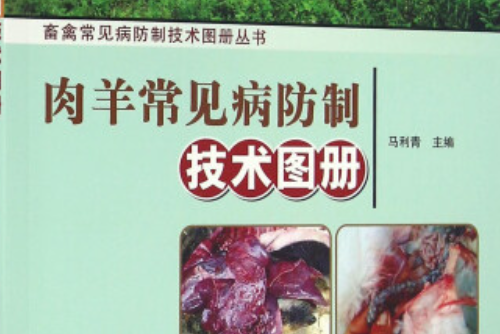 肉羊常見病防制技術圖冊