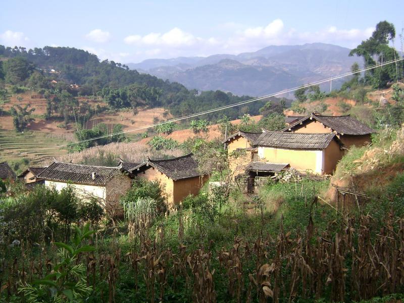 青樹子村