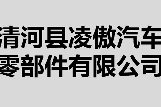 清河縣凌傲汽車零部件有限公司